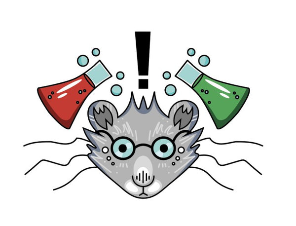 Take the Zoosions Board Game Personality Quiz to Find Your Inner Zoosion - Before the Zookeeper Catches You!